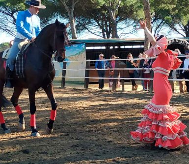 espectaculo baile flamenco y caballos 1