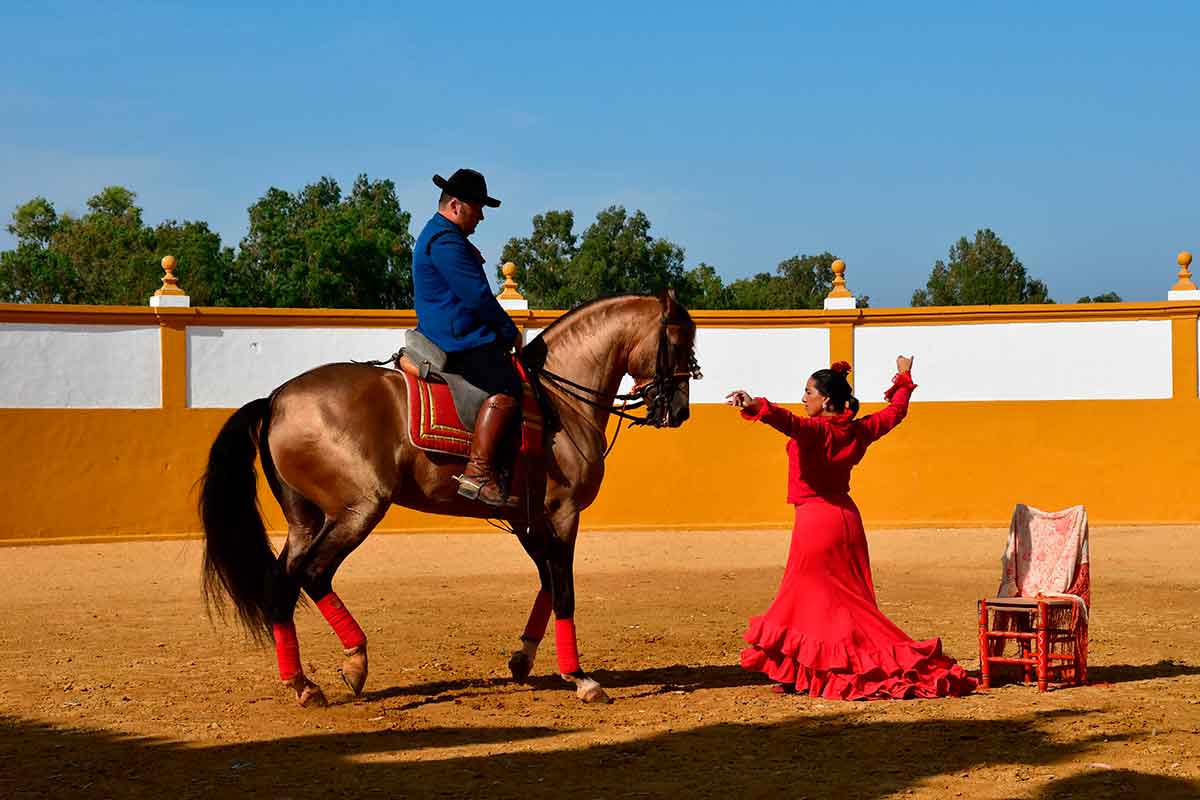 Espectaculo de caballo andaluz y bailaora flamenca
