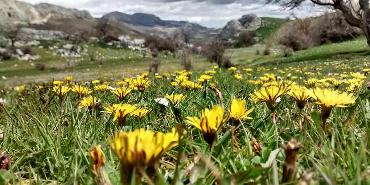 Sierra de Huétor Natural Park
