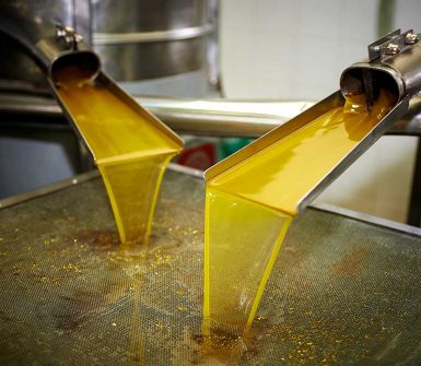 Produccion aceite de oliva virgen extra