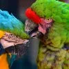 Acuarios y Zoos de Andalucia