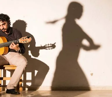 baile guitarra flamenca andalucia
