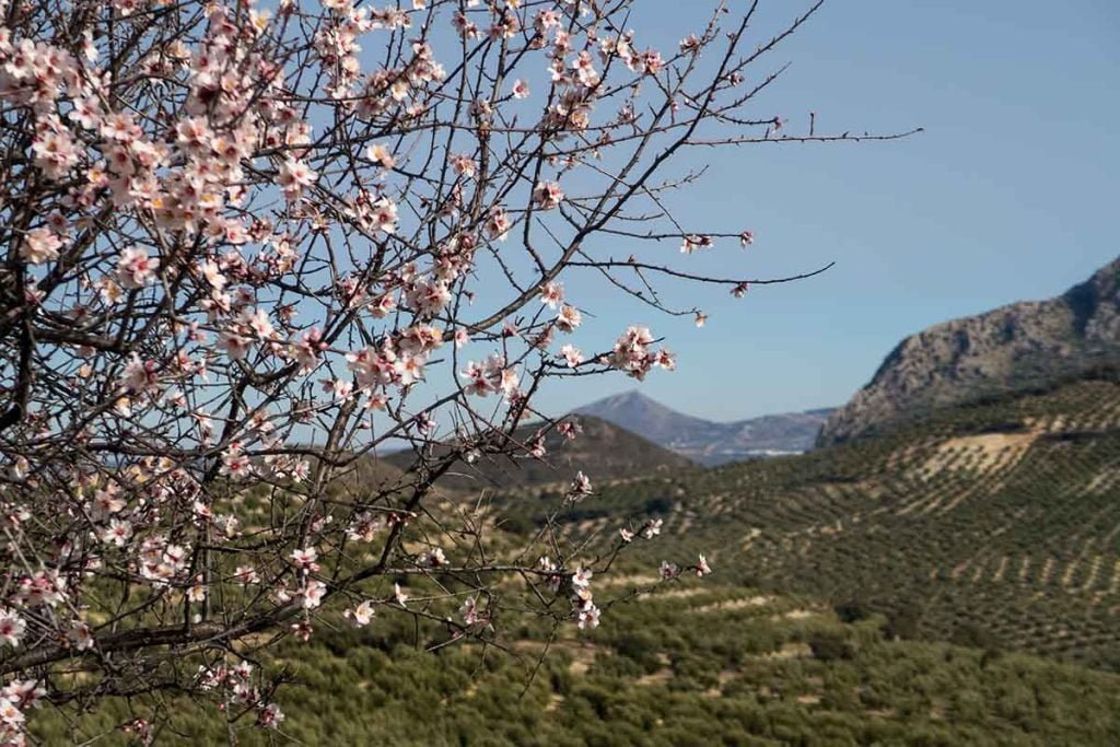 Naturaleza en Andalucía